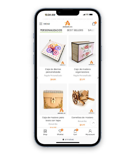 Ecommerce-website-creation