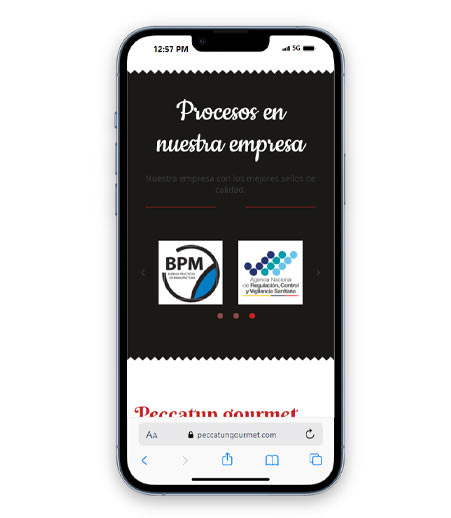 procesos-peccatun-gourmet